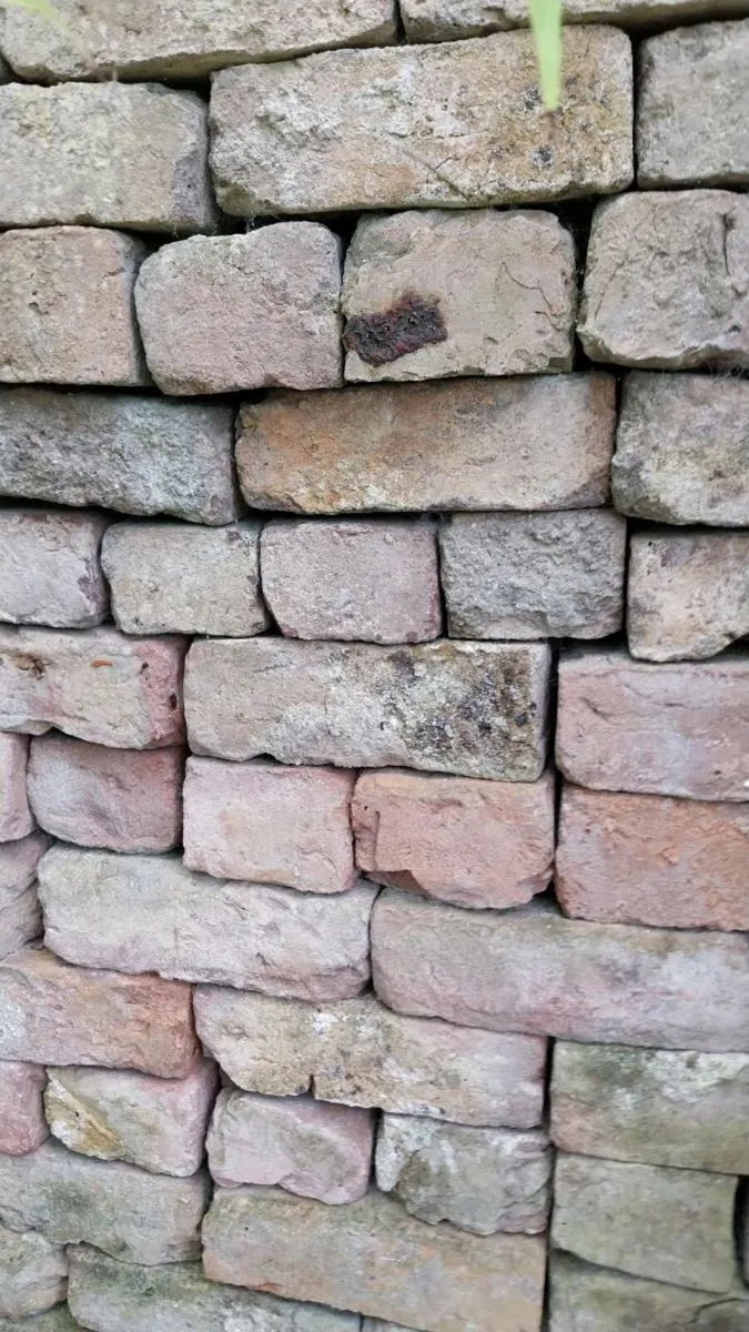House bricks - Image 1