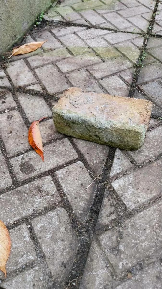 House bricks - Image 2