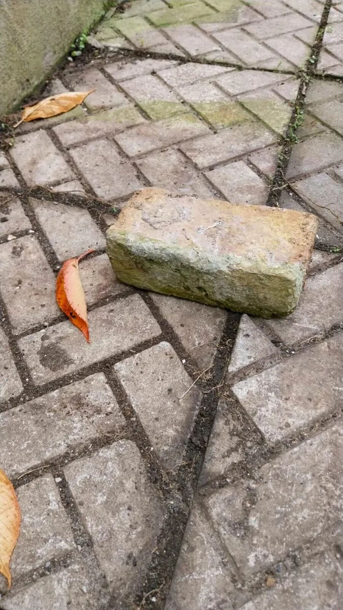 House bricks - Image 3
