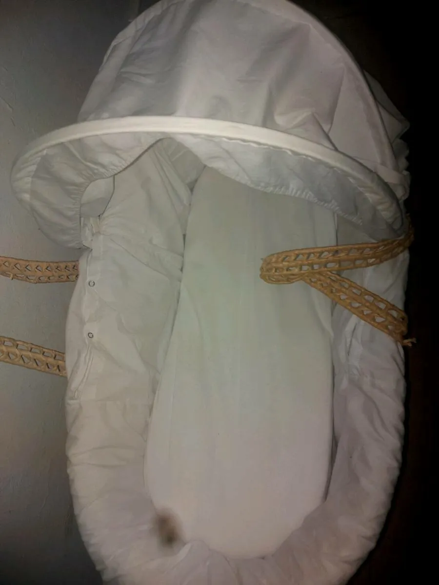Moses basket. - Image 4