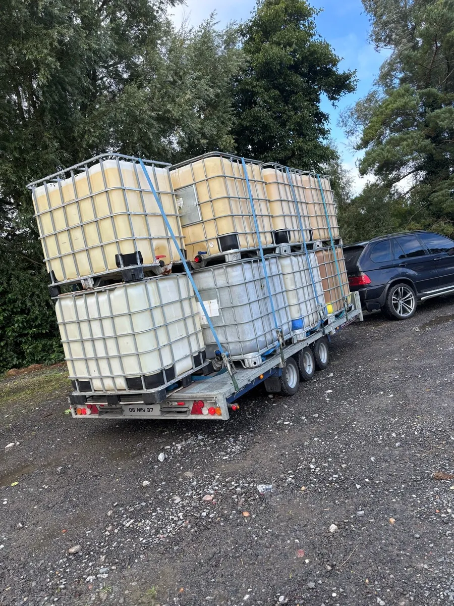 IBC Tanks for sale - Image 1