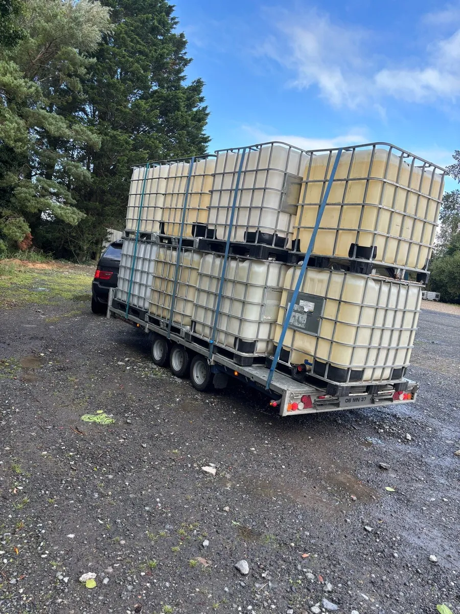 IBC Tanks for sale - Image 2