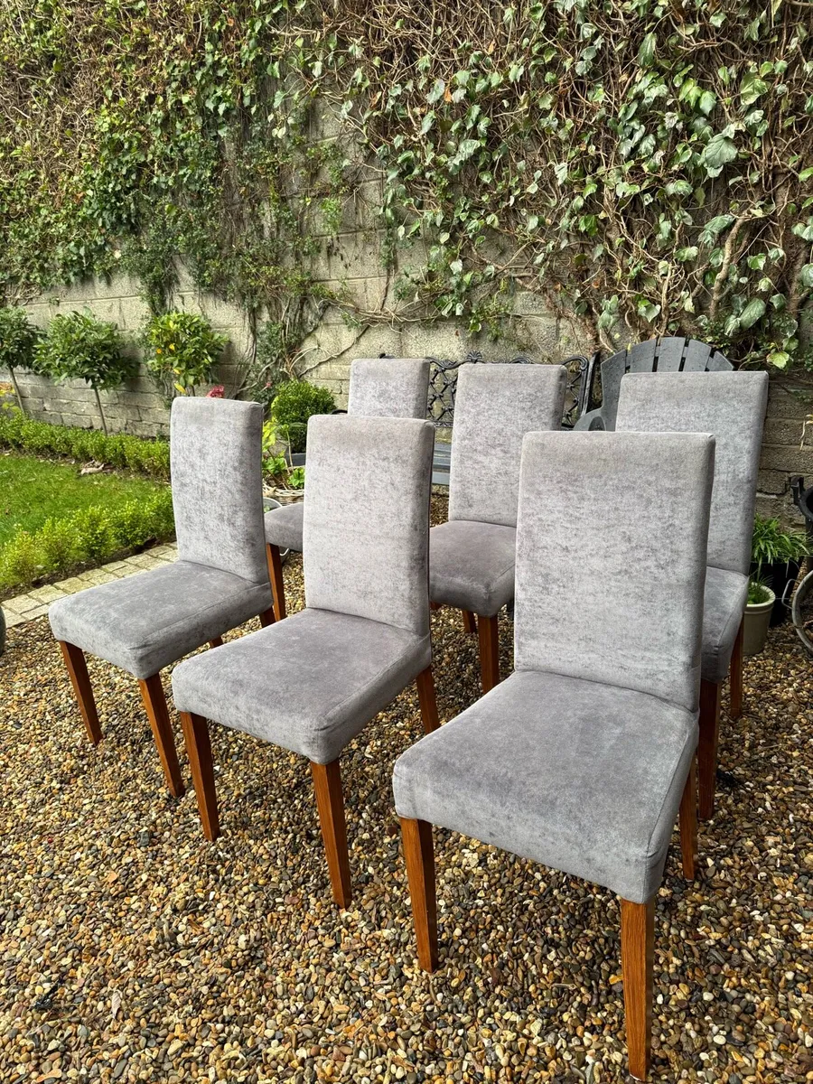 Dining Room Chairs - Image 1