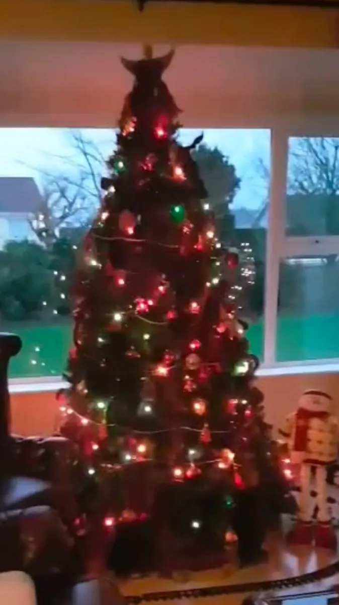 Christmas tree and decorations