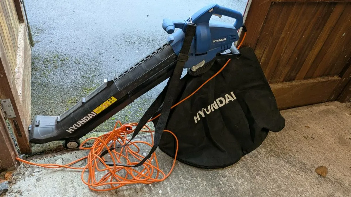 Leaf blower - Image 1