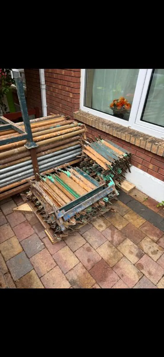 Scaffold - Image 2
