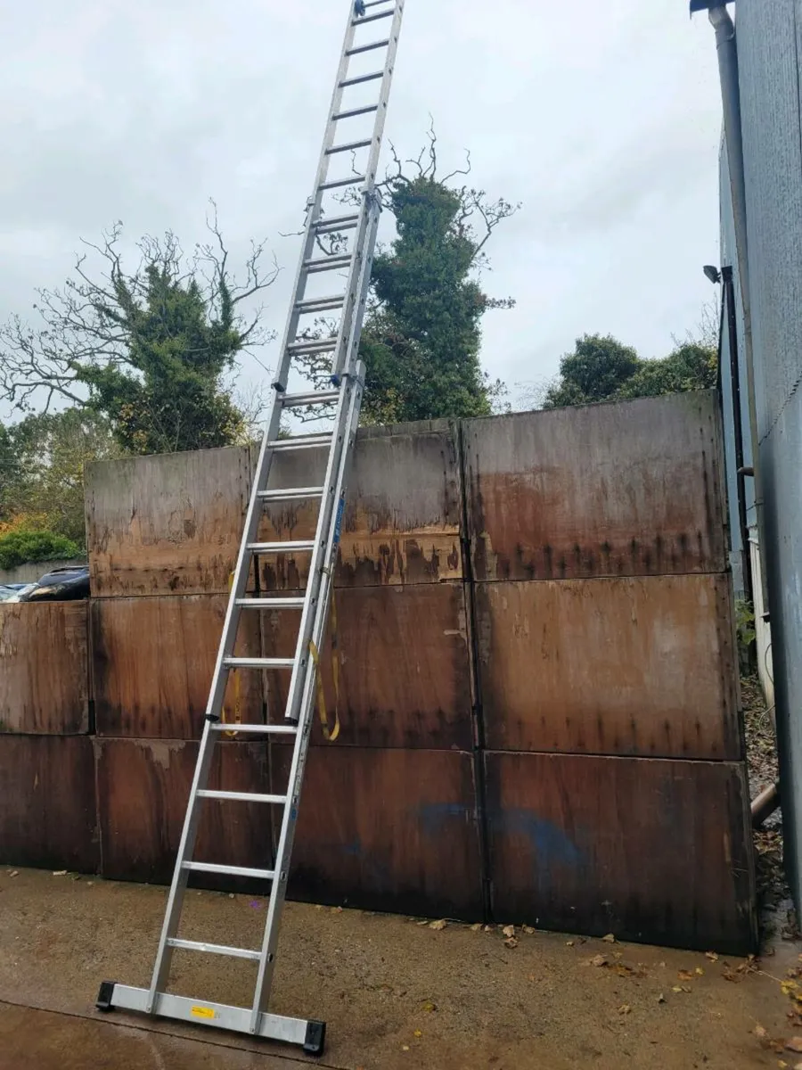 Ladder - Image 3