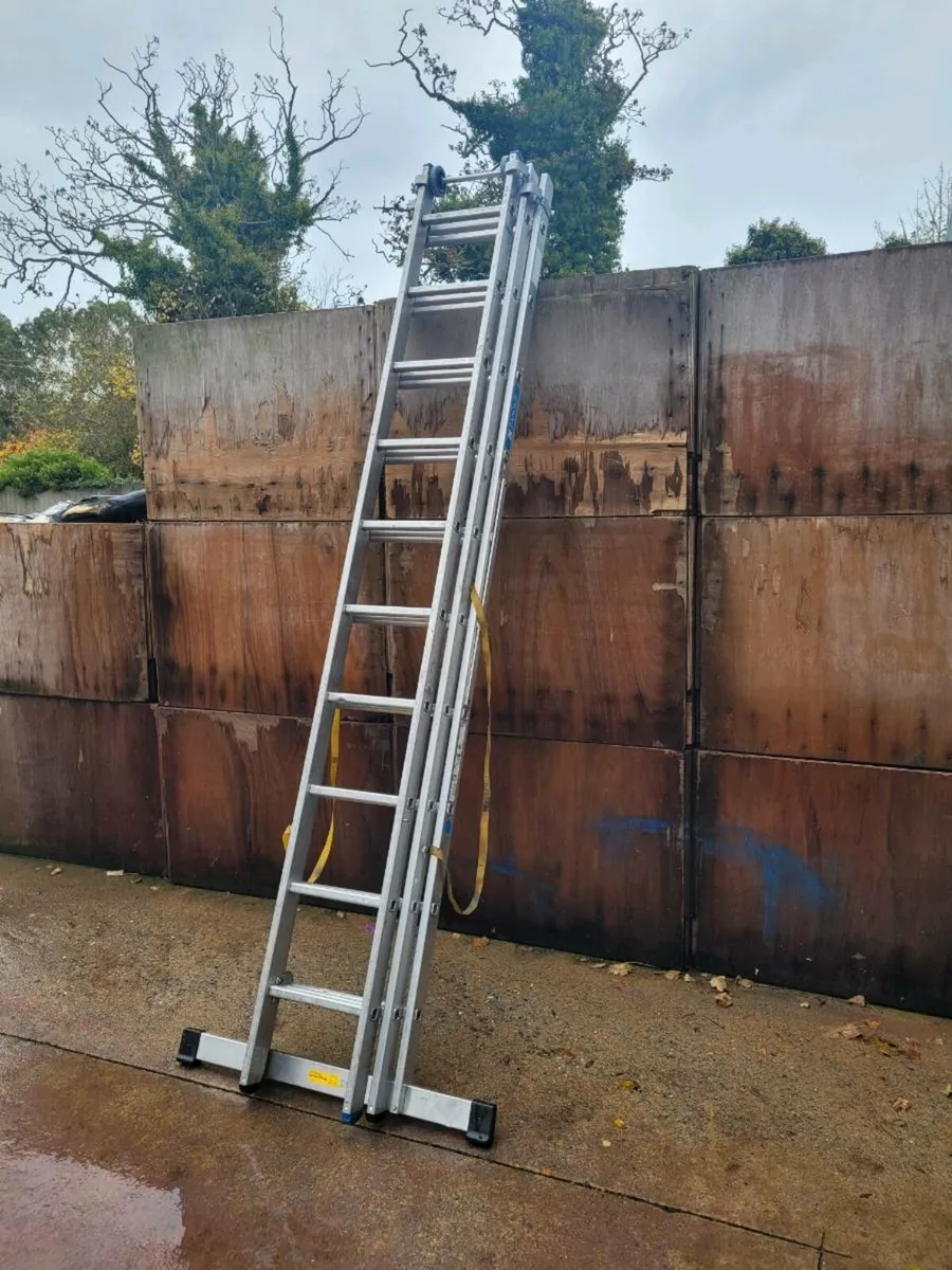 Ladder - Image 4