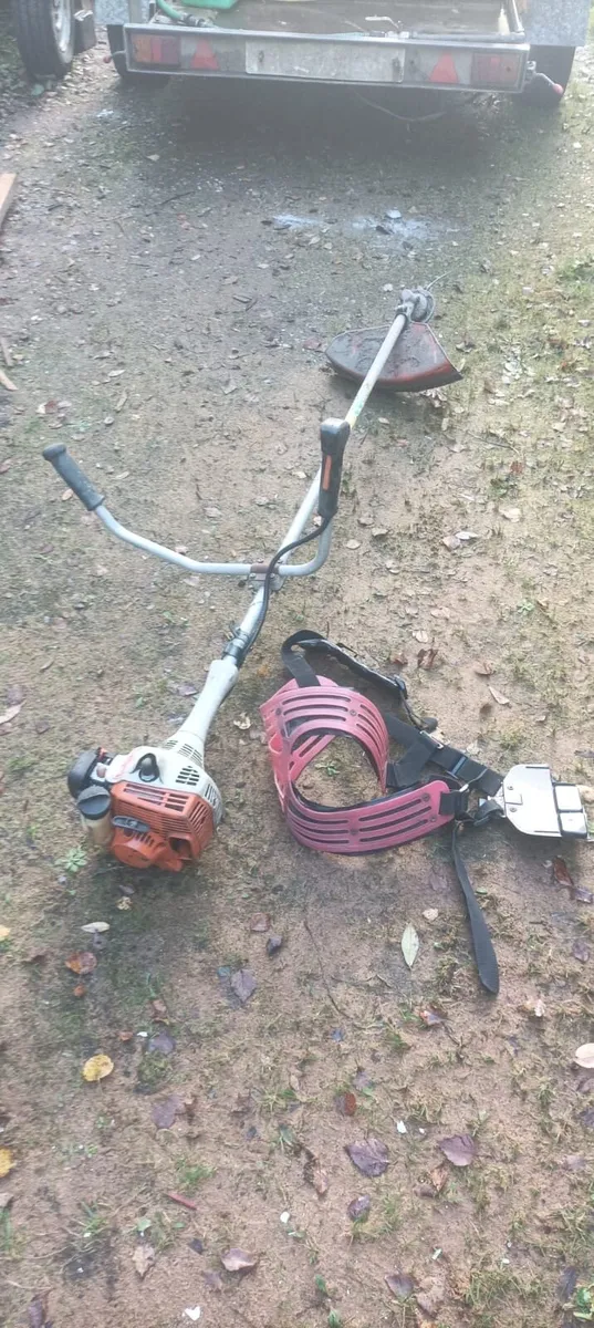 Stihl FS55 - Image 1