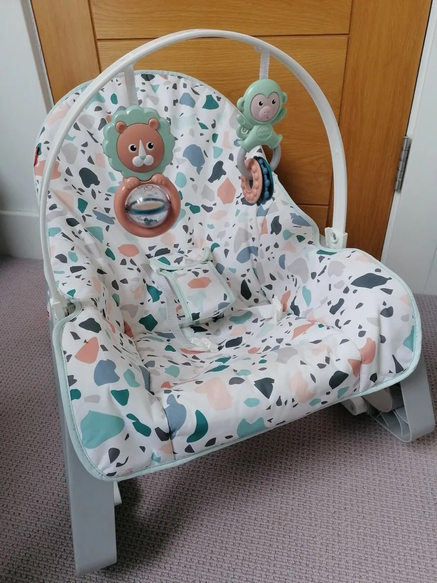 Fisher Price Infant to Toddler Rocker & Seat - Image 2
