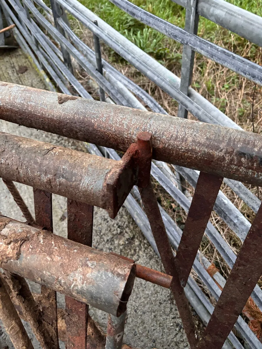Barriers - Image 4