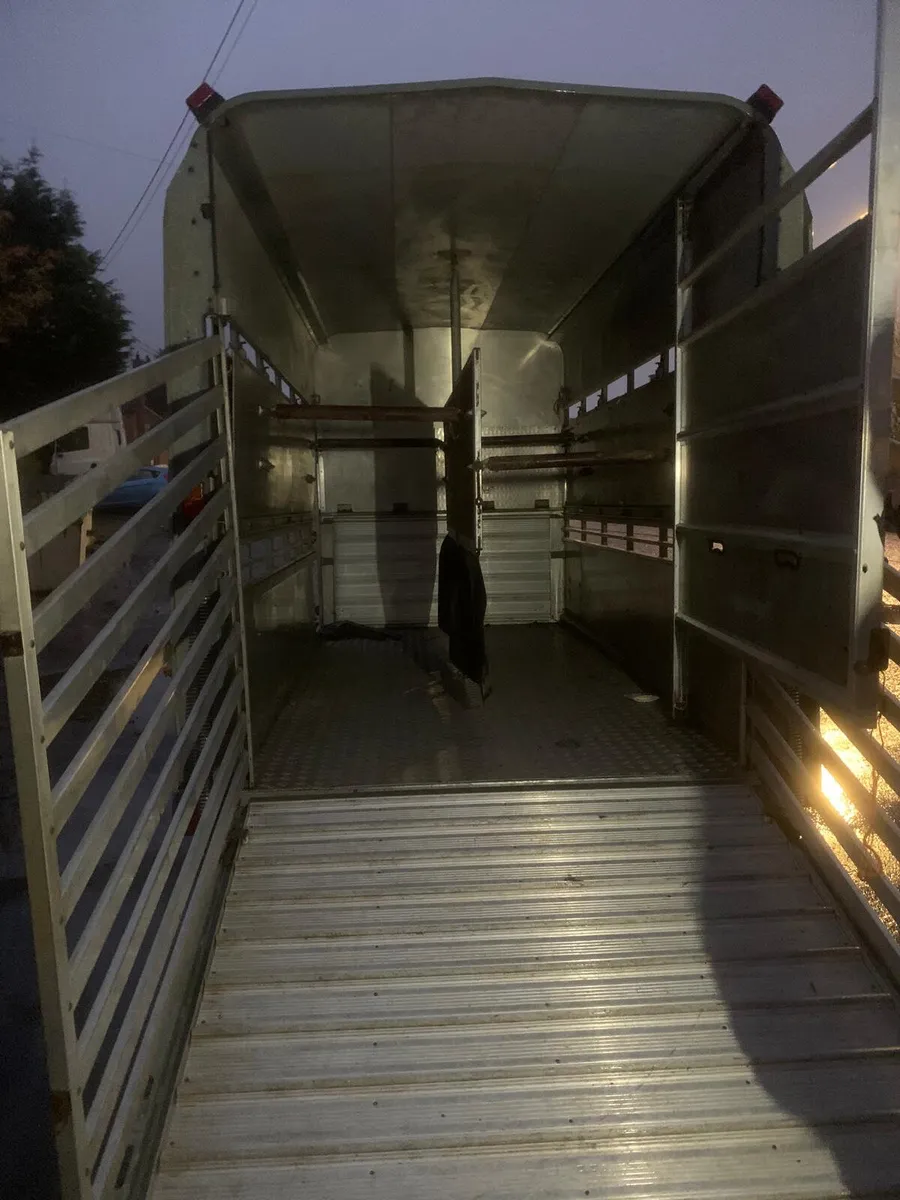 Ifor Williams 12ft cattle trailer - Image 4