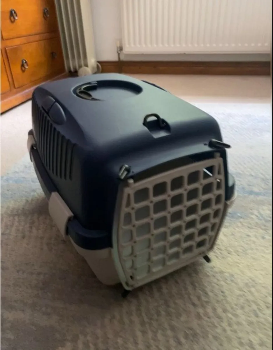 Cat accessories - Image 1