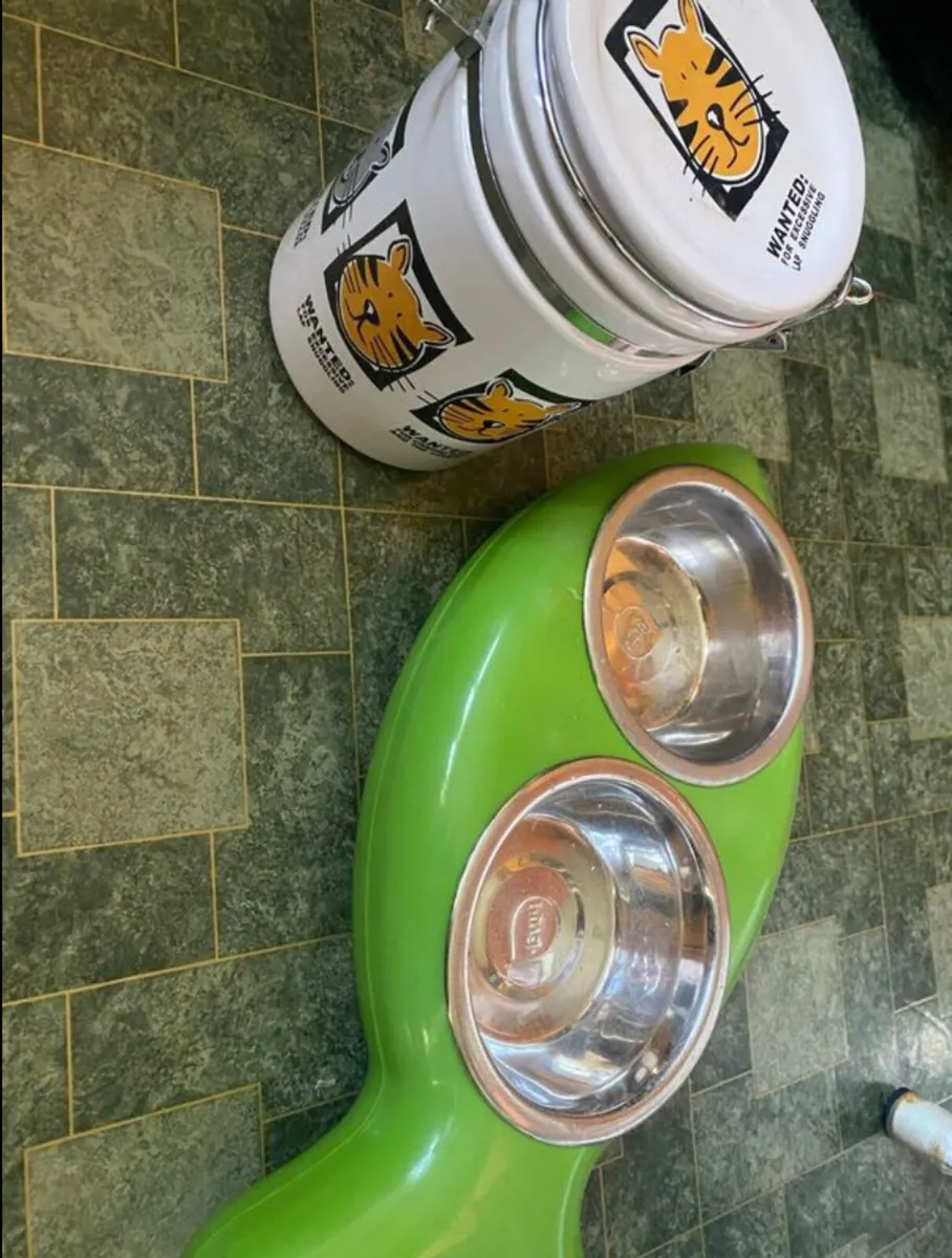 Cat accessories - Image 4