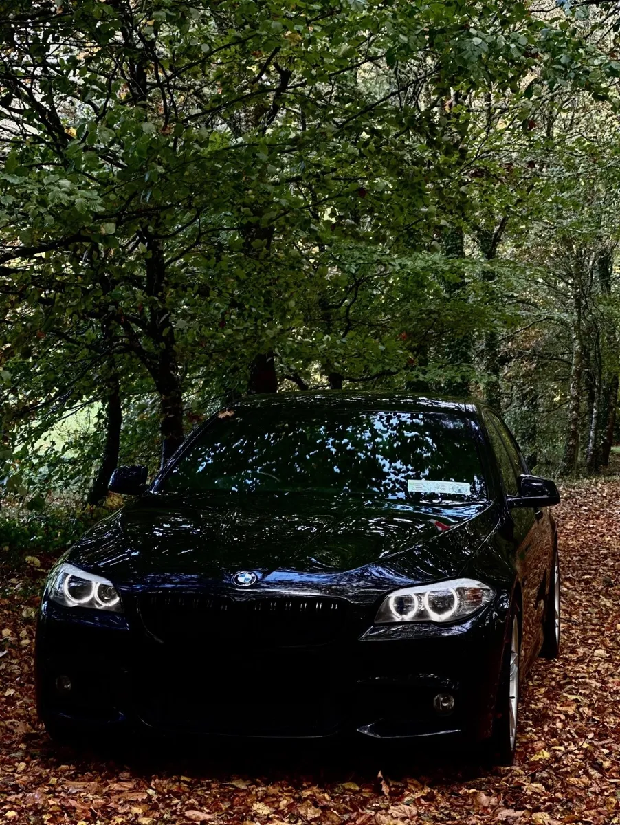 BMW 5-Series 2013 - Image 2
