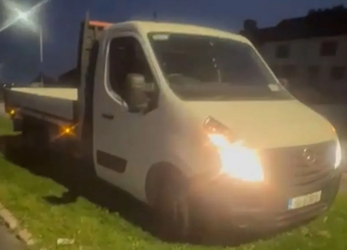Opel Movano - Image 3