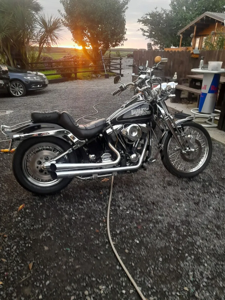 Harley Davidson springer softail - Image 1