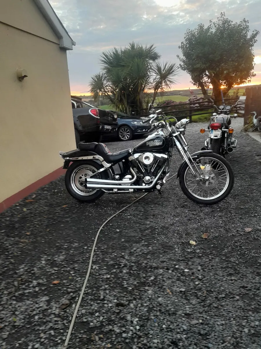 Harley Davidson springer softail - Image 3