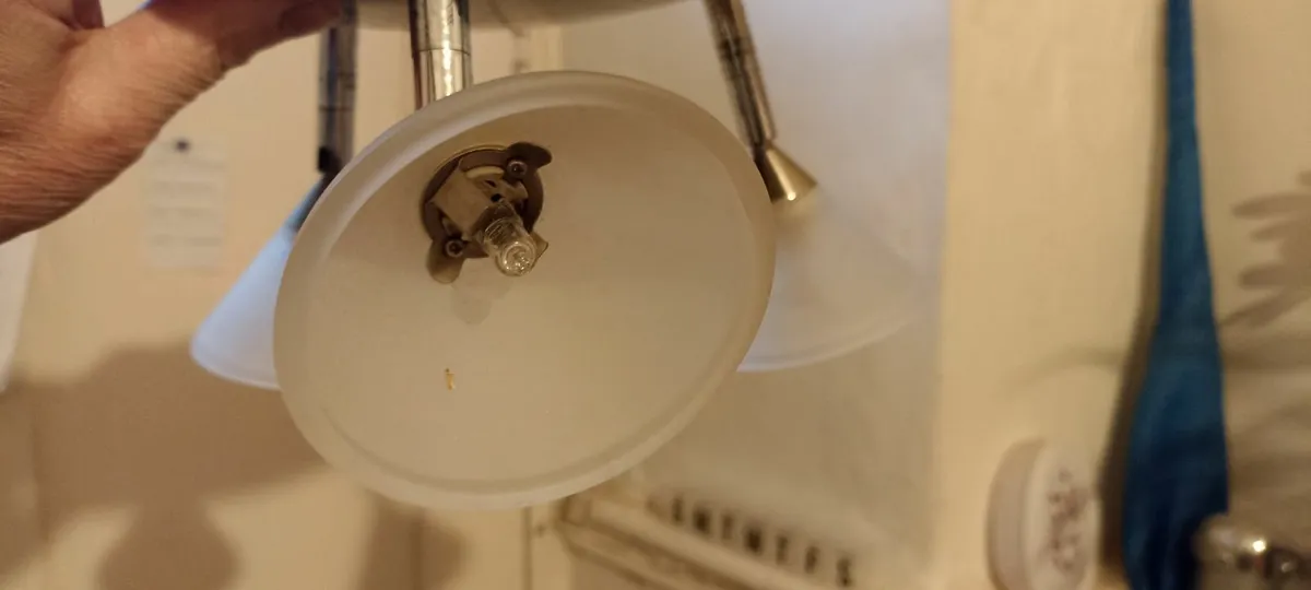 Low Voltage Ceiling mounted light Fitting - Image 3