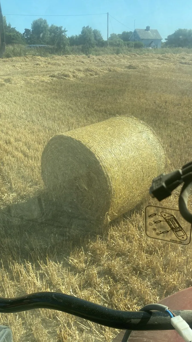 Hay - Image 4