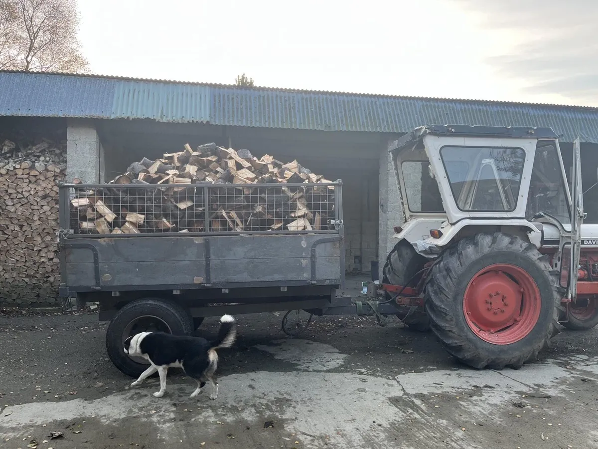 Logs