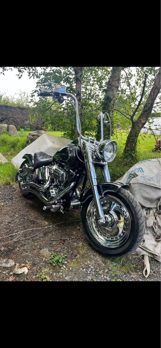 Harley Davidson - Image 3