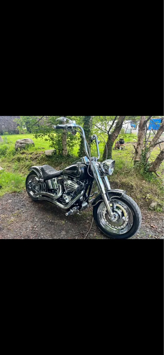Harley Davidson - Image 2