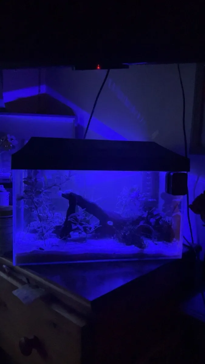 25L fish tank - Image 4