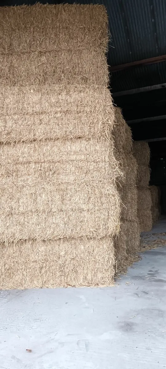 Hay and straw