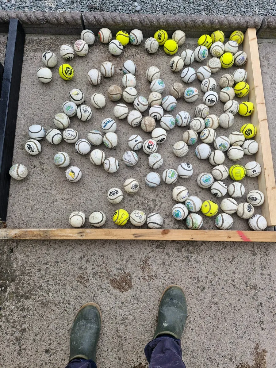 Sliothars for sale - Image 2