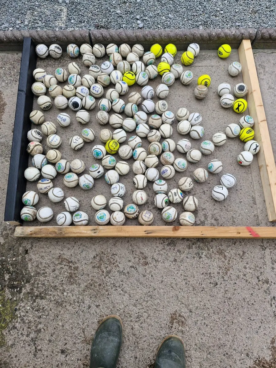 Sliothars for sale - Image 3