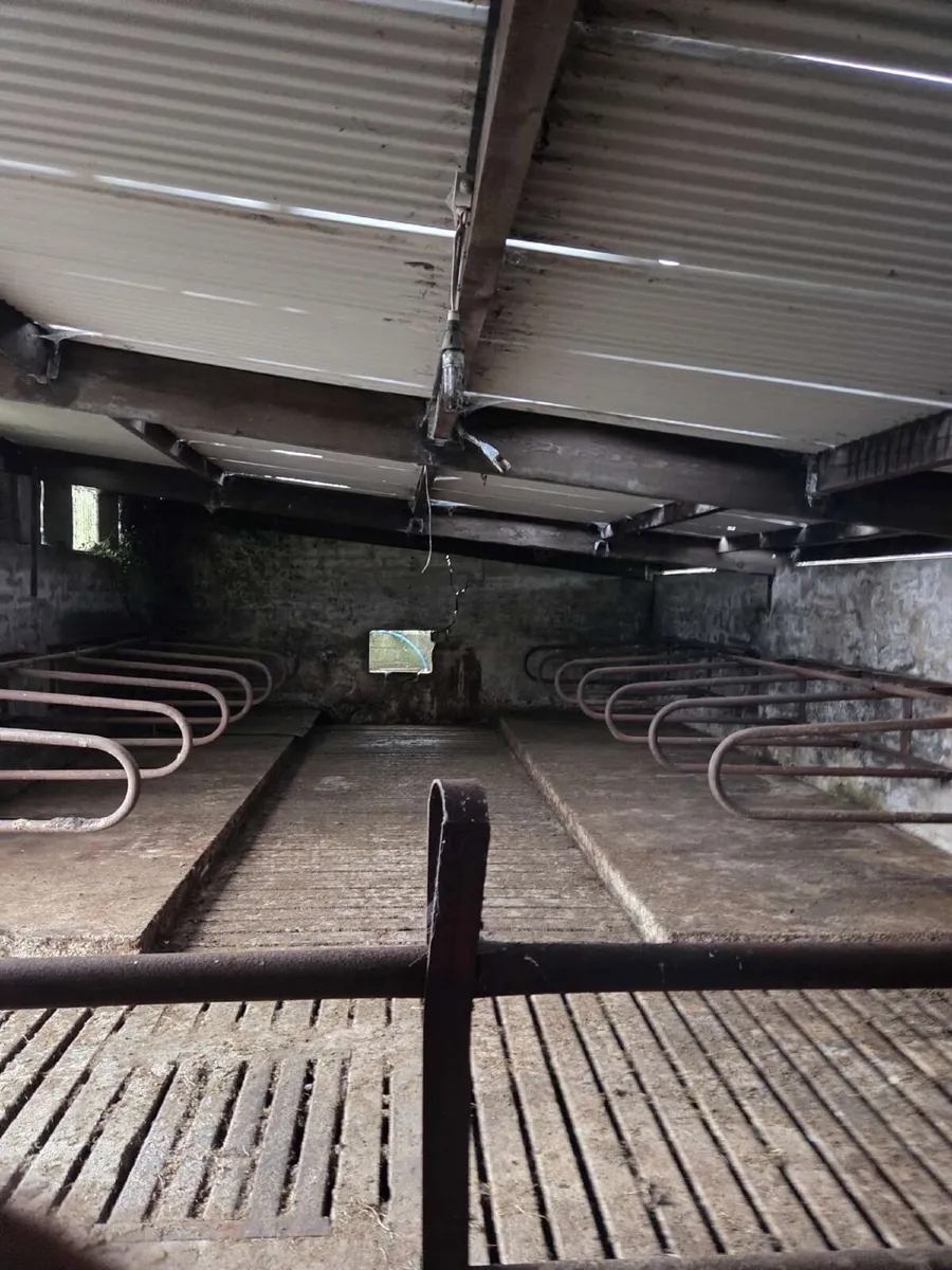 Cattle shed for rent - Image 1