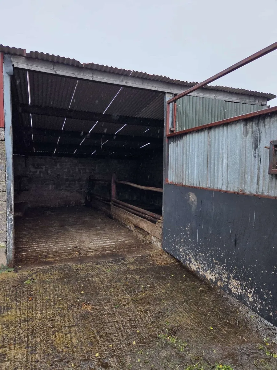 Cattle shed for rent - Image 2