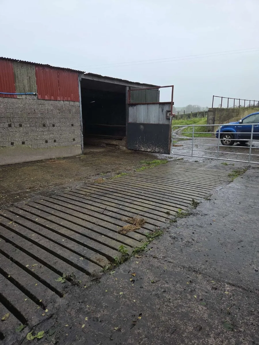 Cattle shed for rent - Image 4
