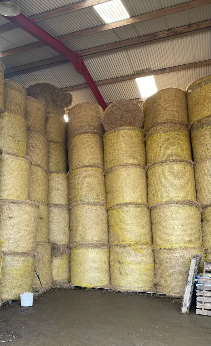 Hay for sale