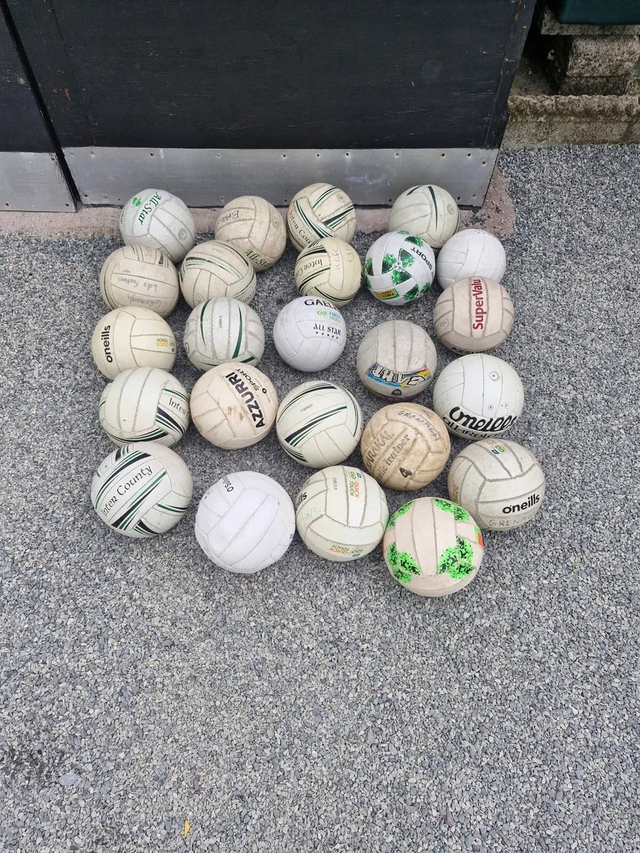 Sliothars for sale - Image 4