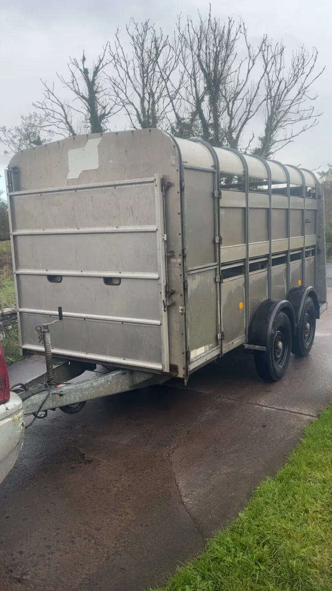 Ifor Williams 12 foot cattle / sheep trailer - Image 1