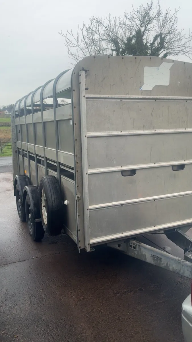 Ifor Williams 12 foot cattle / sheep trailer - Image 2