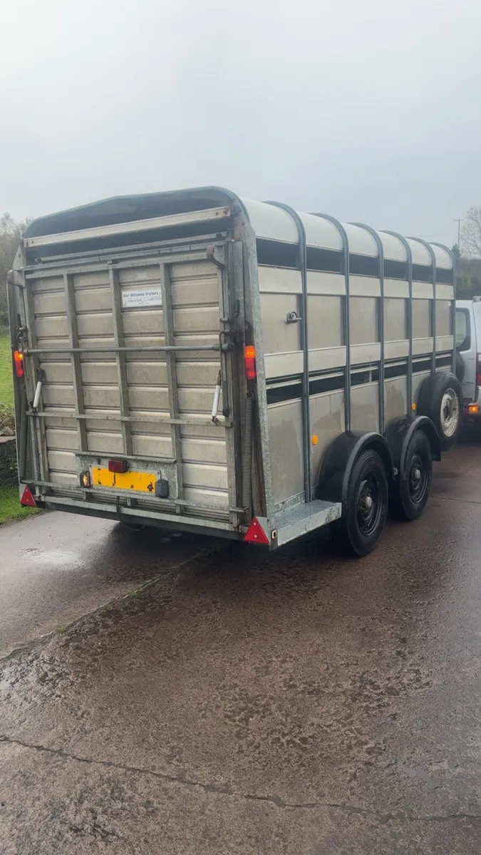 Ifor Williams 12 foot cattle / sheep trailer - Image 3