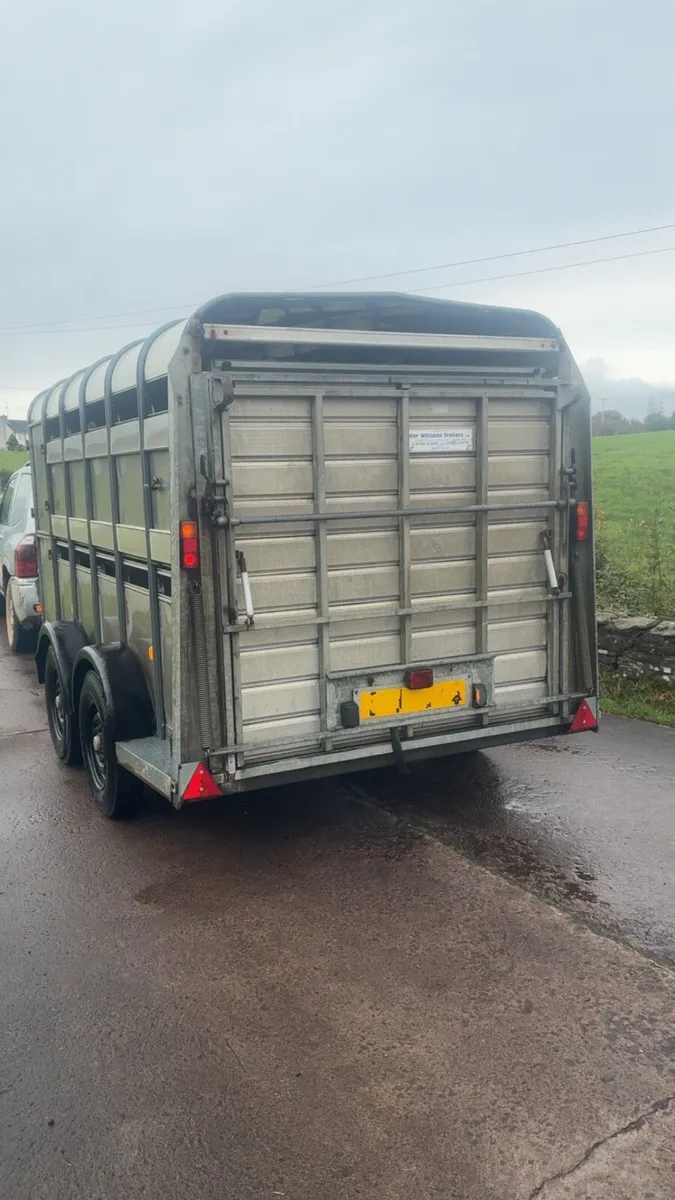 Ifor Williams 12 foot cattle / sheep trailer - Image 4