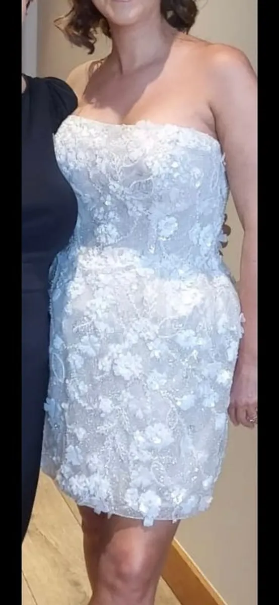 Provovias Wedding Dress - Image 3