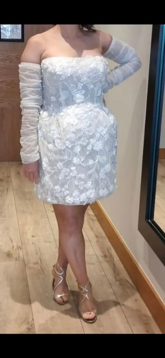 Provovias Wedding Dress - Image 4