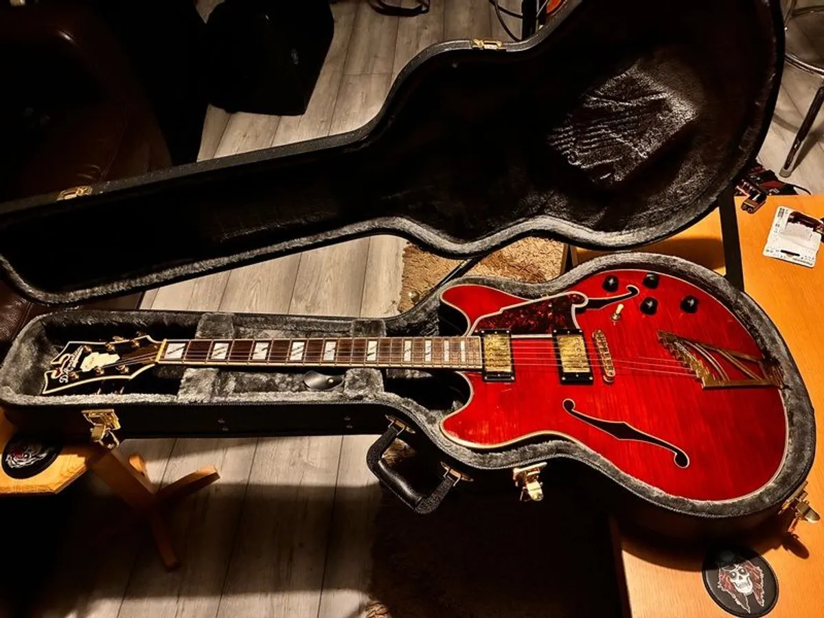 DAngelico Excel DC Viola semi-hollow body - Image 1