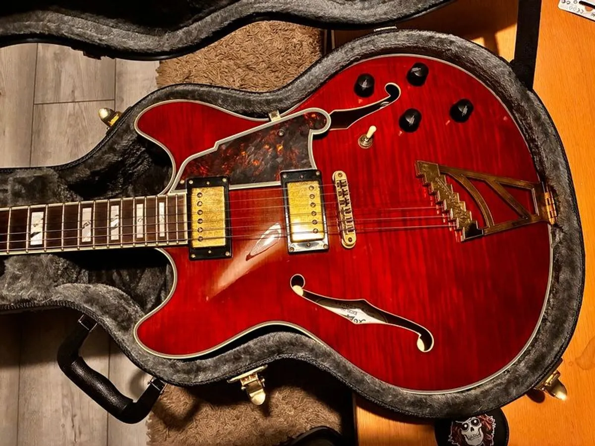 DAngelico Excel DC Viola semi-hollow body - Image 3