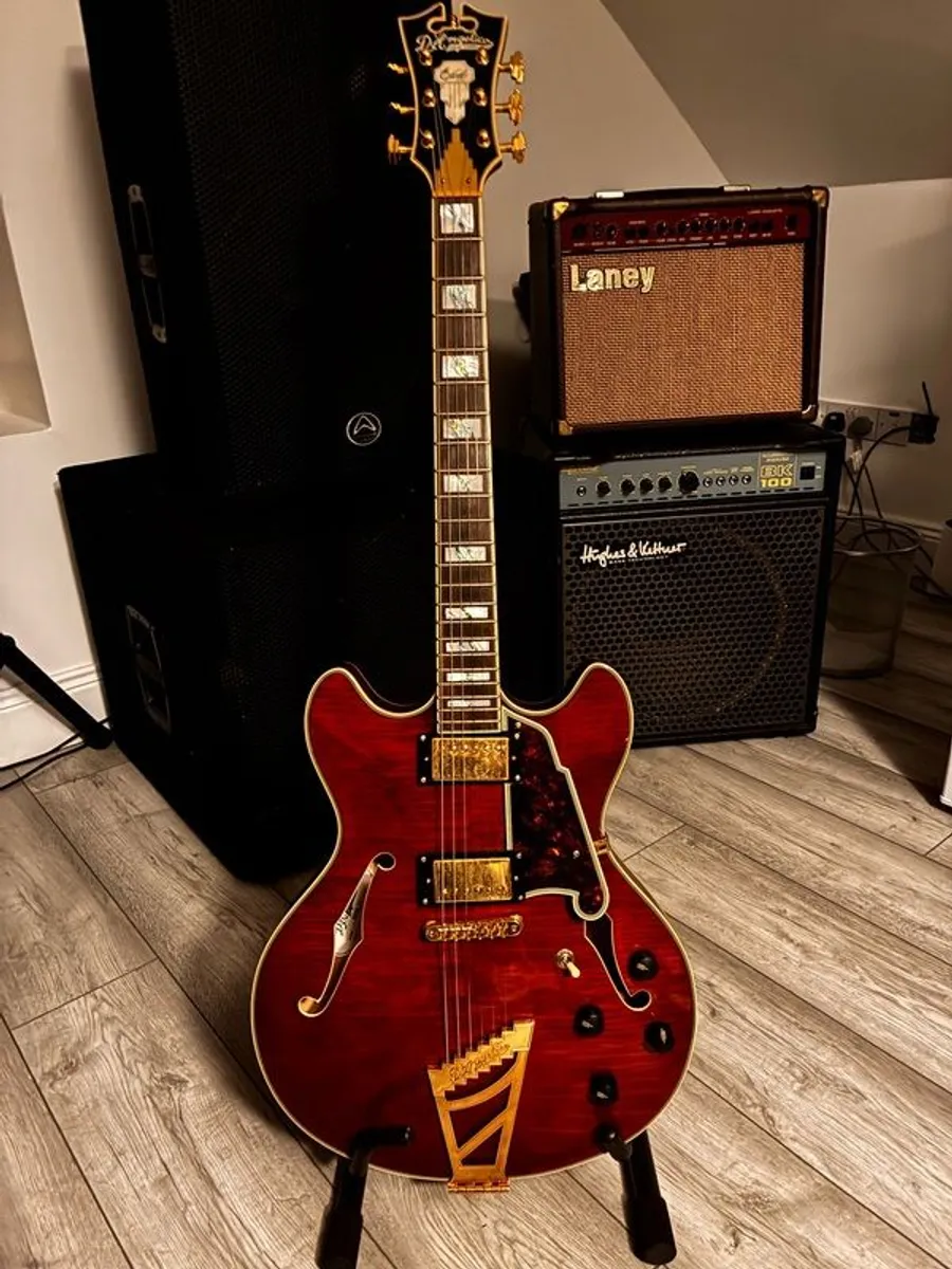 DAngelico Excel DC Viola semi-hollow body - Image 4
