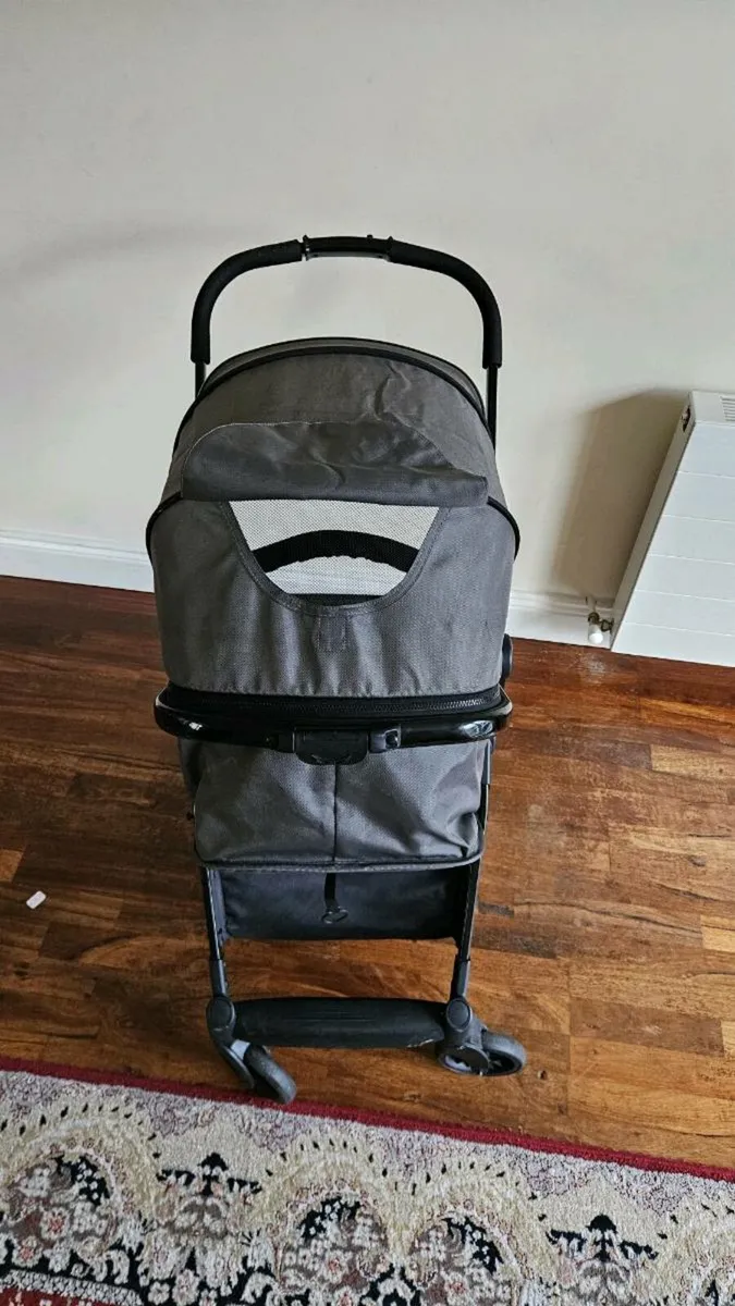 Buggy - Image 2