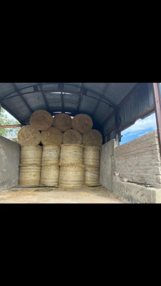 Barley and Wheat Straw