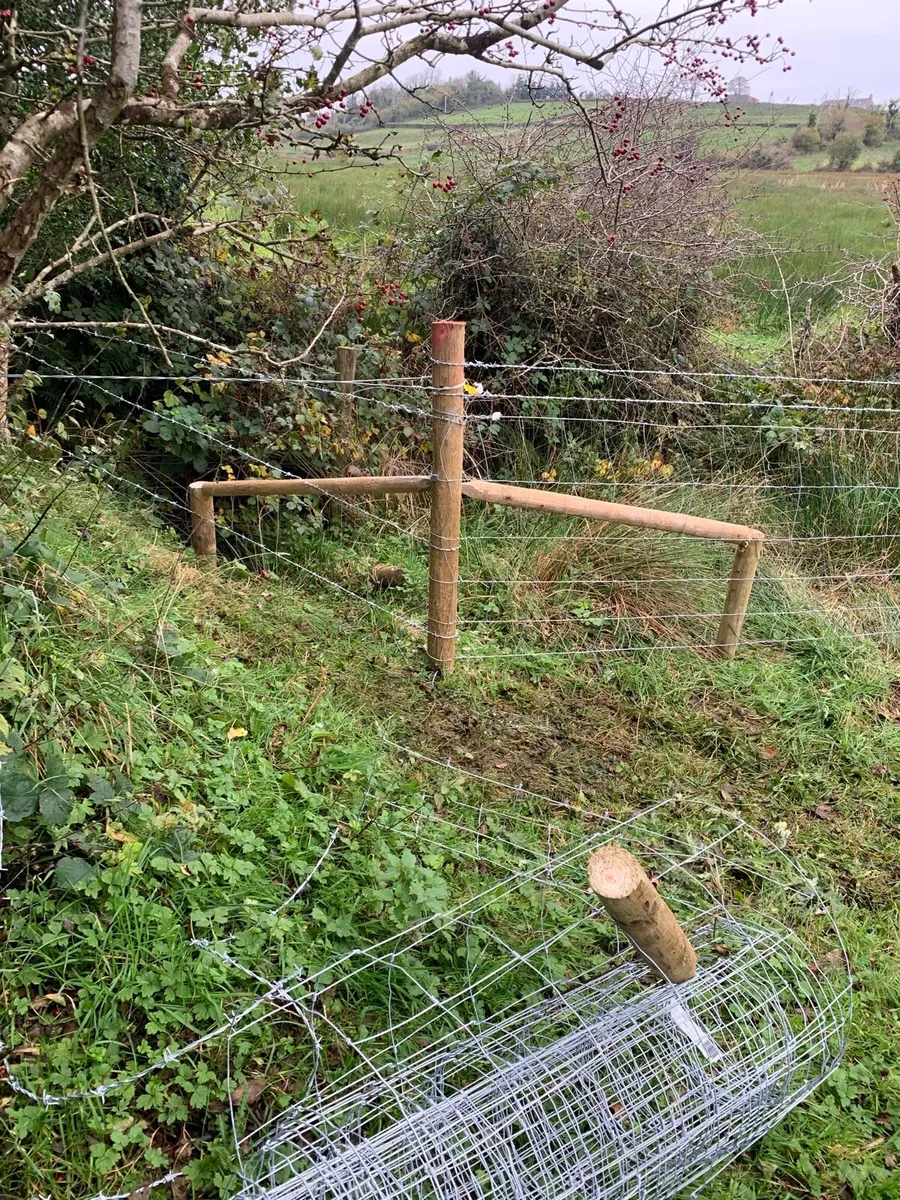Healy Agri fencing - Image 4