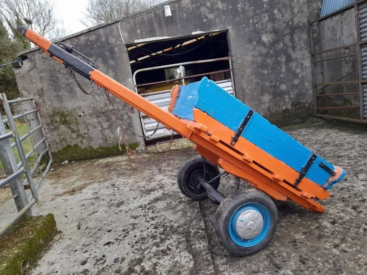 Antique donkey cart - Image 1