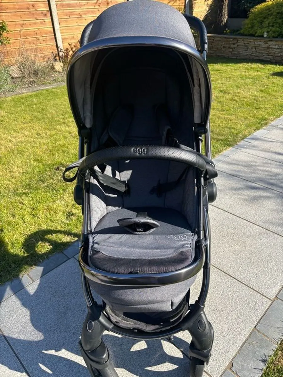 Egg Stroller - Image 1